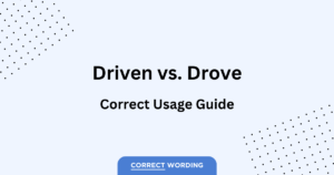 Driven vs. Drove - How to Correctly Use Each Word