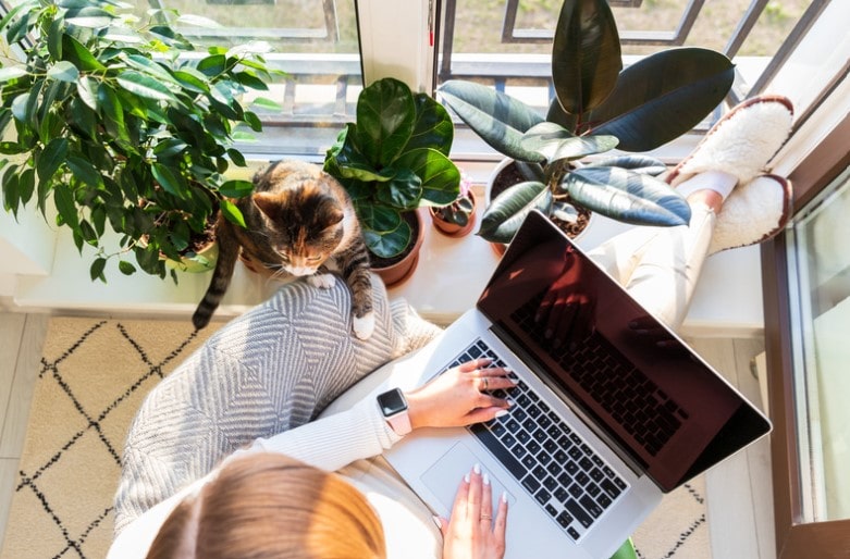 woman writing on a laptop next to a cat