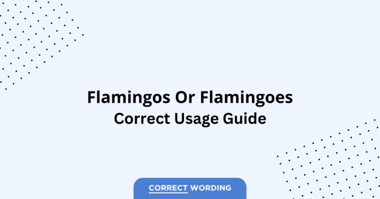 Flamingos vs. Flamingoes - Which is Correct?