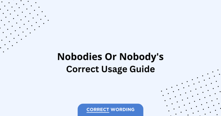 Nobodies vs. Nobody's - Which is Correct?