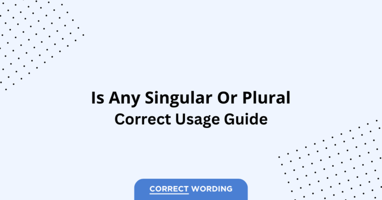 Any Singular vs. Any Plural - Which is Correct?