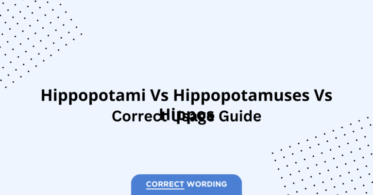 Hippopotami vs. Hippopotamuses vs. Hippos - Which is Correct?