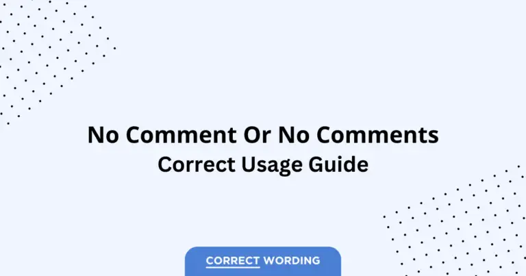 No Comment vs. No Comments - Which is Correct?