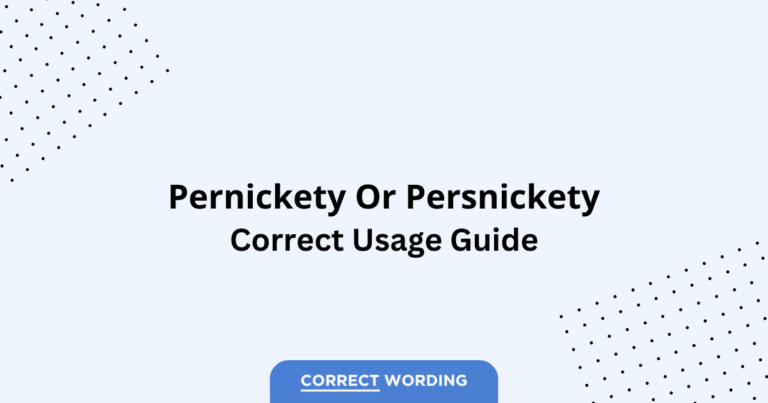 Pernickety vs. Persnickety - Which is Correct?
