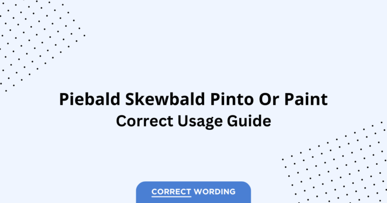 Piebald vs. Skewbald vs. Pinto vs. Paint - Which is Correct?