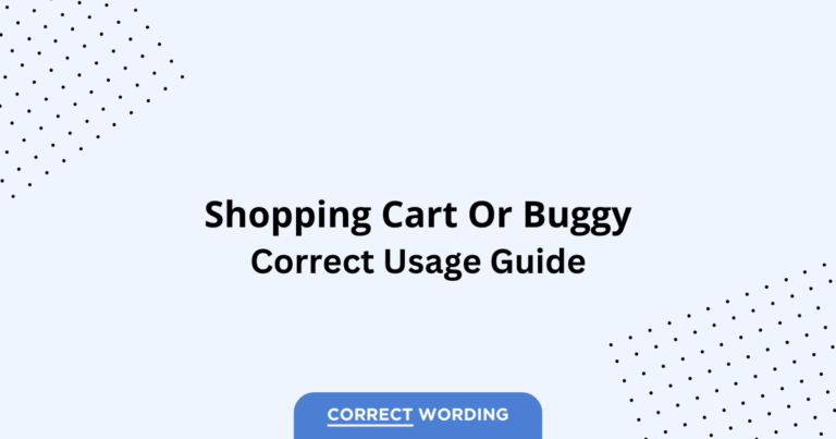 Shopping Cart vs. Buggy - Which is Correct?