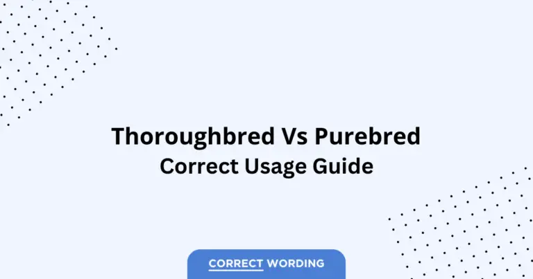 Thoroughbred vs. Purebred - Which is Correct?