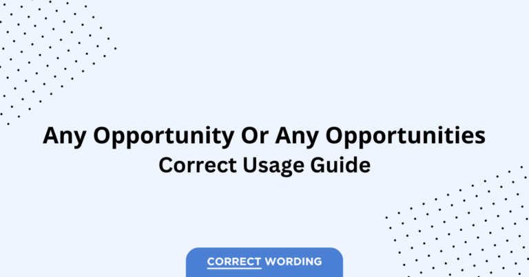 Any Opportunity vs. Any Opportunities - Which is Correct?
