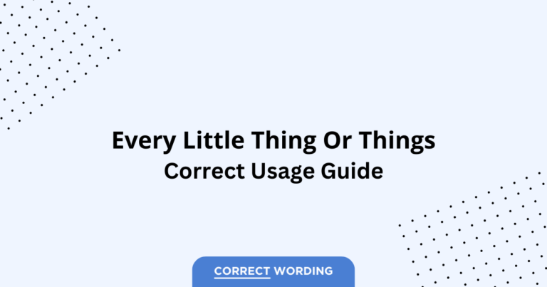 Every Little Thing vs. Every Little Things - Which is Correct?