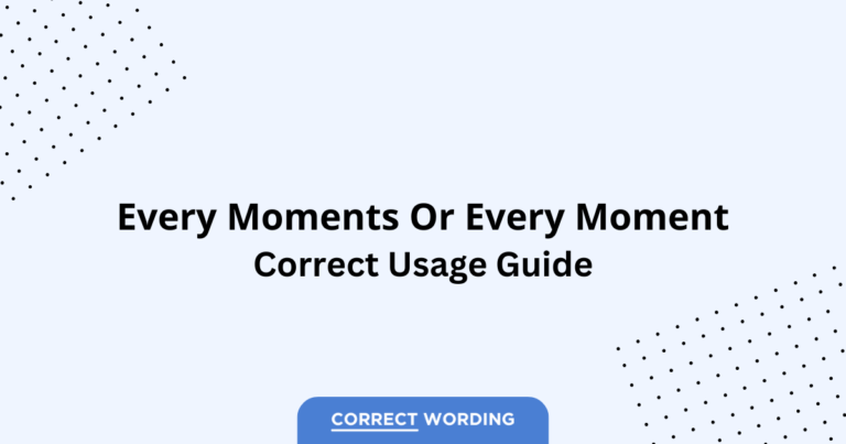 Every Moments vs. Every Moment - Which is Correct?