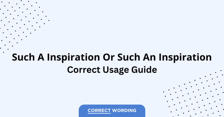 Such a Inspiration vs. Such an Inspiration - Which is Correct?