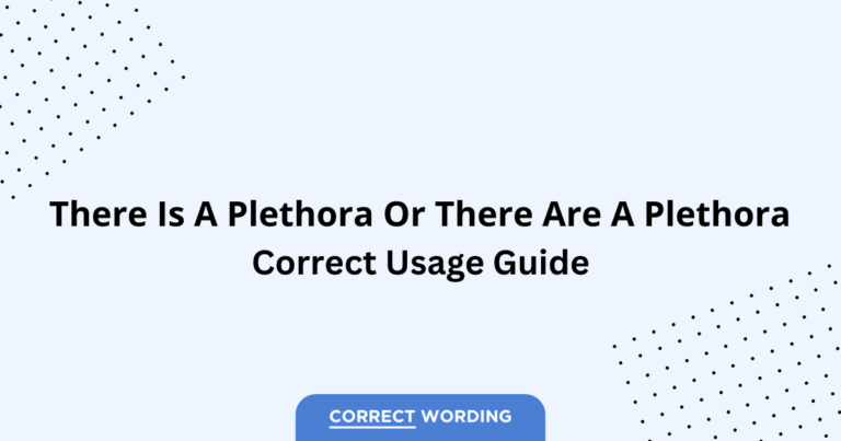There is a Plethora vs. There are a Plethora - Which is Correct?