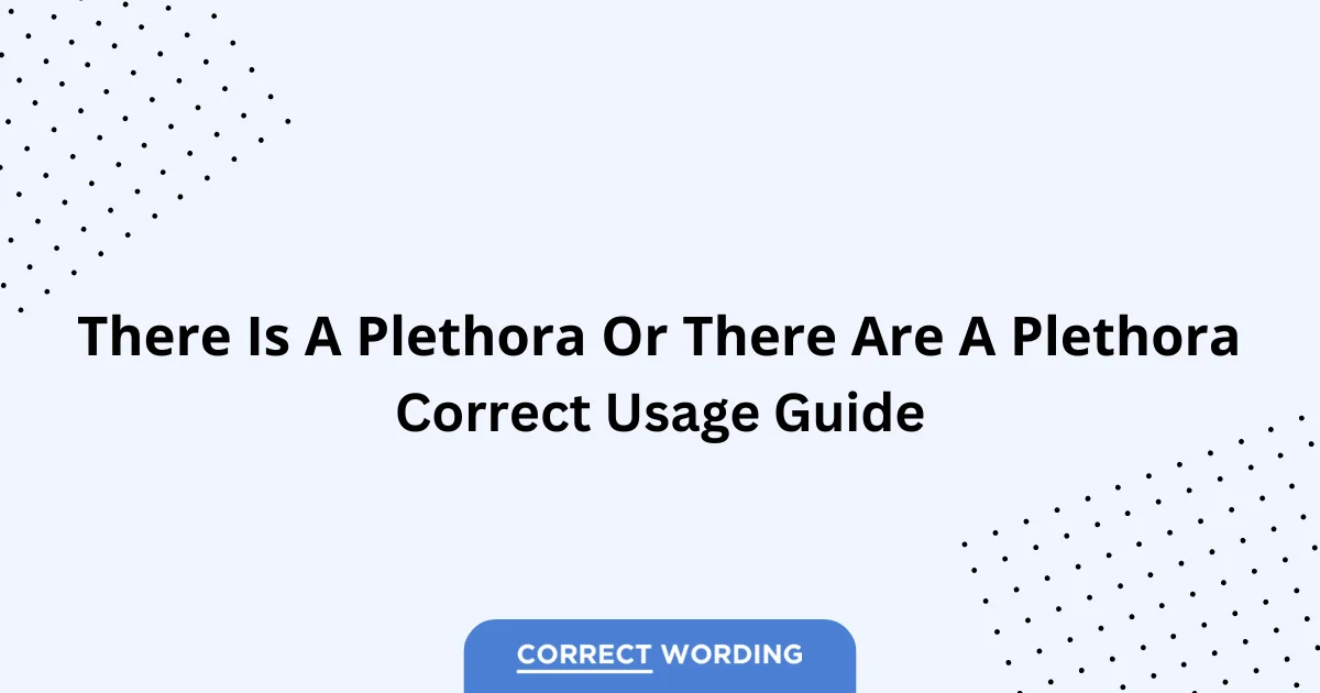 There is a Plethora vs. There are a Plethora - Which is Correct?