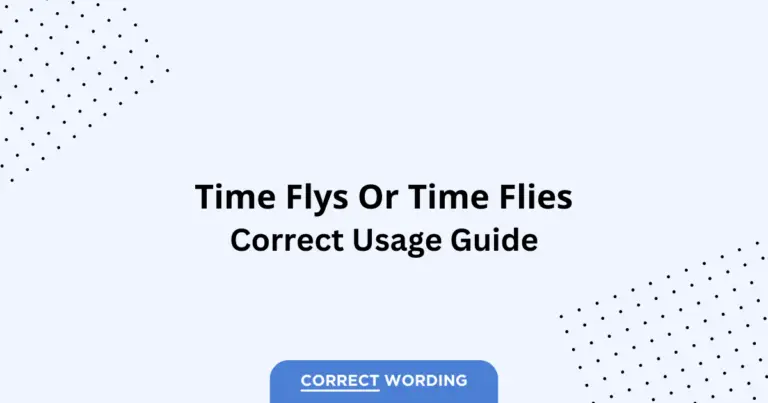 Time Flys vs. Time Flies - Which is Correct?