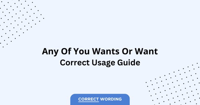 Wants vs. Want - Which is Correct?